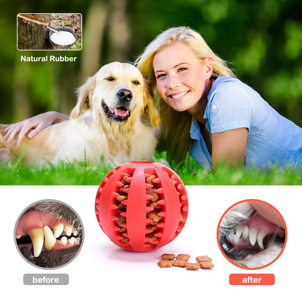 Dog Food Ball Toy - Interactive Rubber Chew Ball for Puppies, Small & Large Dogs