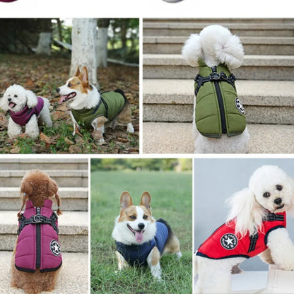 Warm Padded Jacket for Small Dogs with Harness & Zipper