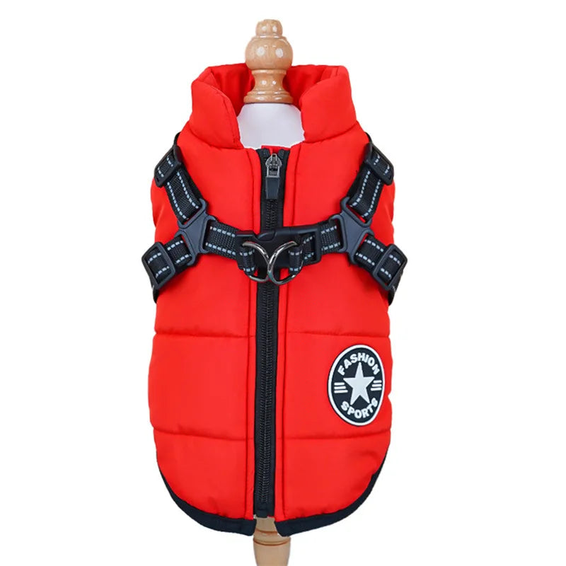 Warm Padded Jacket for Small Dogs with Harness & Zipper